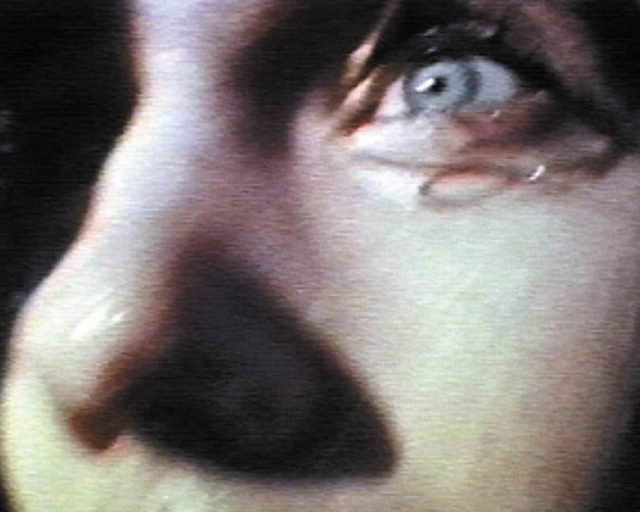 Le vanità dell’uccello in gabbia