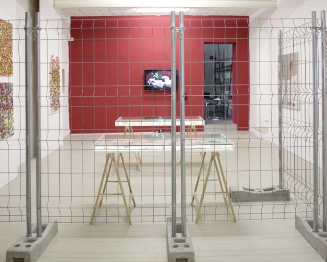 Il ritratto ritrovato