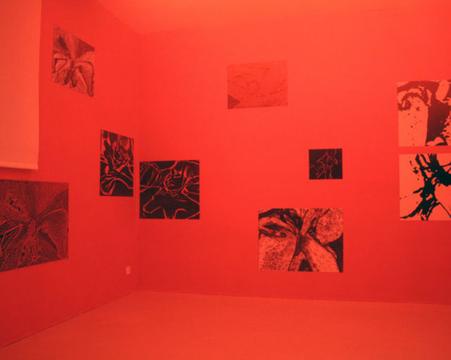 Ermafrodito e la filosofia del transito, ovvero la sessualità abdicata.