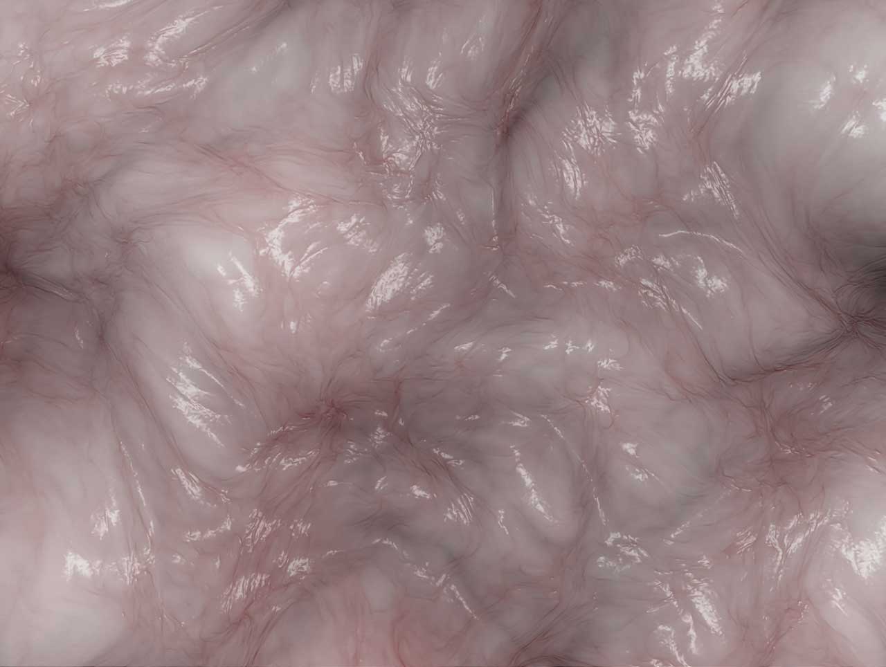 SITO-Martin-Sulzer,-wetware