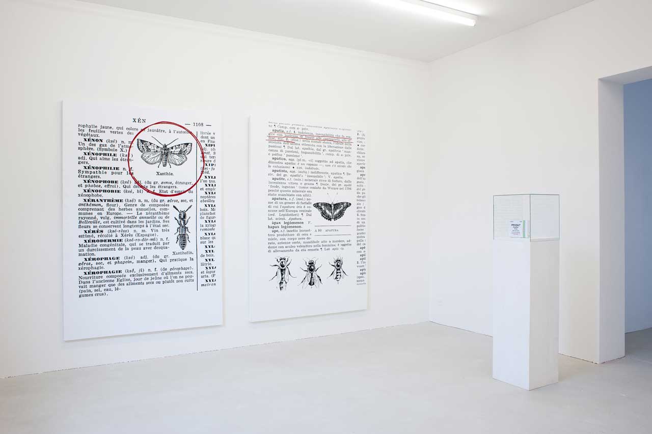 SITO-bellinzona-1002