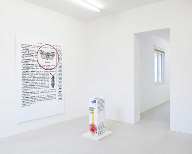 Concetto e visione. L’immagine sospesa.