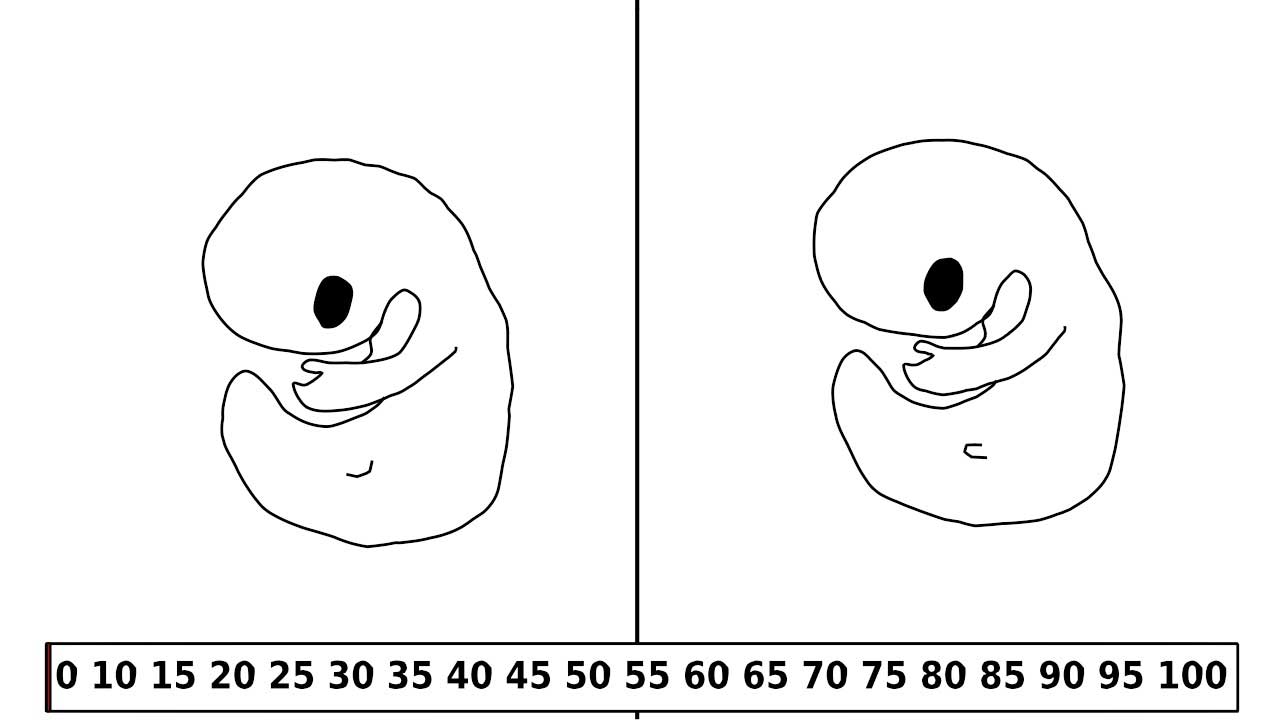 SITO-UOMINI-E-DONNE__