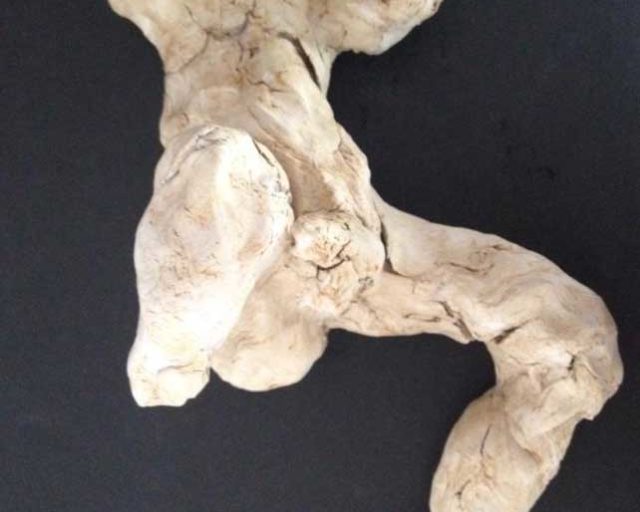 Il gabinetto privato di un raccoglitore d’immagini / Peinture de chambre