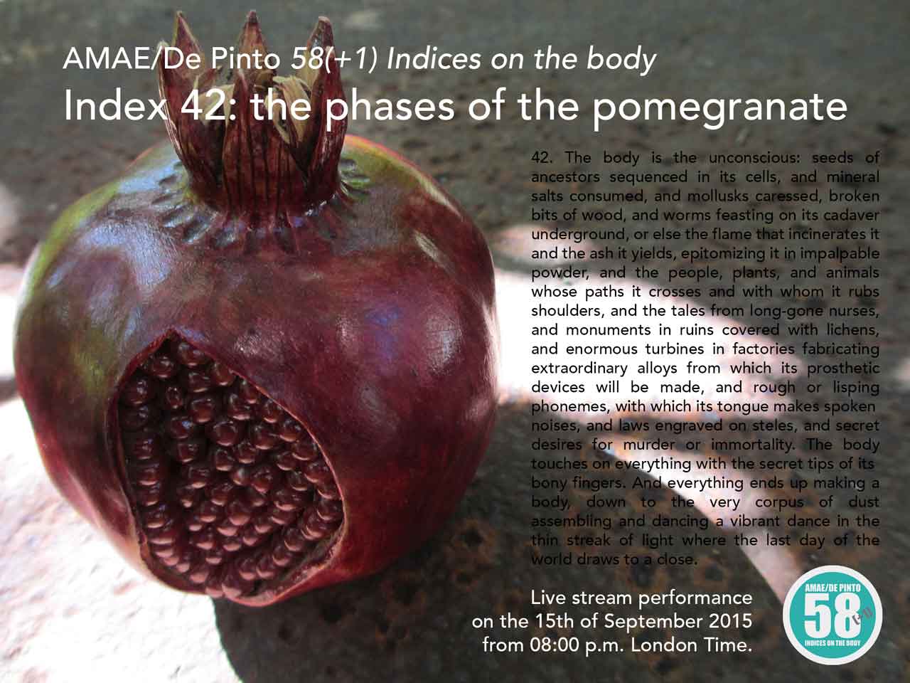 SITO-index-42_pomegranate