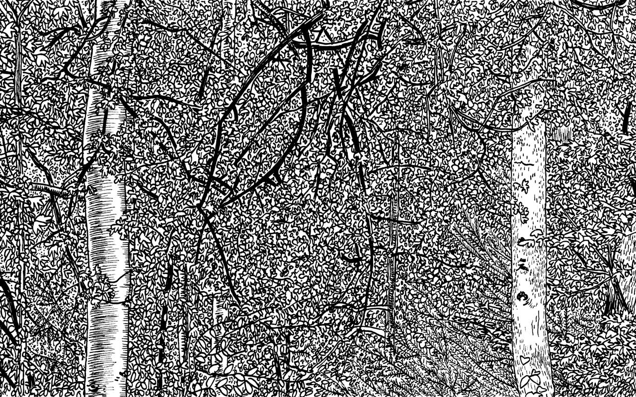 SITO-zh_gaypark_h
