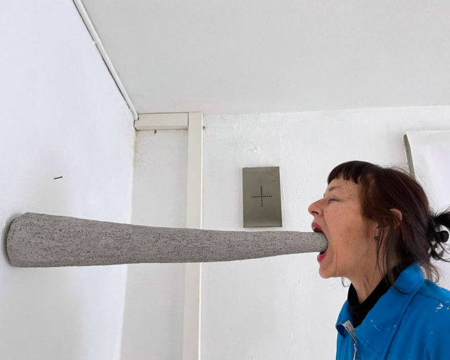 Wunderkammer: tra ragione ed erotismo. / Nina Staehli