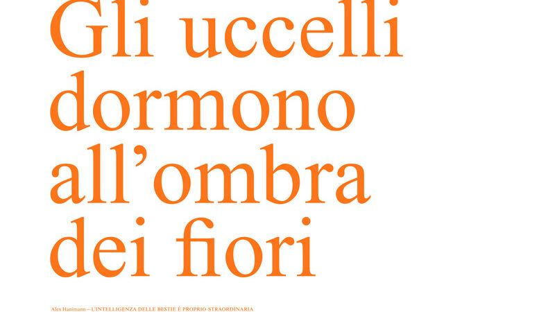 a--bellinzona-BERLA-Haniman a--bellinzona-BERLA-Haniman
